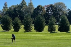 IMG_4131 IMG_4131